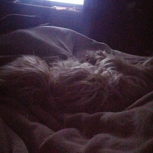 Meet your Posher, Trisha